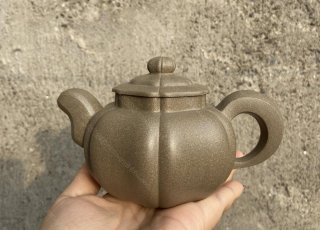 筋紋汲風(fēng)