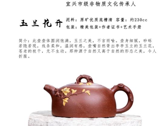 玉蘭花開(kāi)